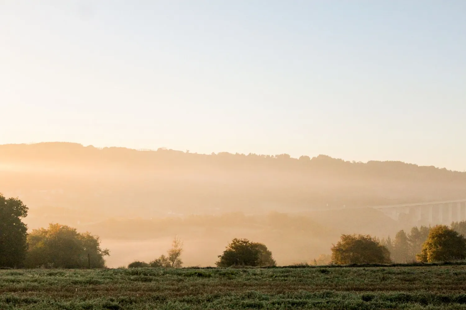 Collines boisées dans la brume douce d'un lever de soleil