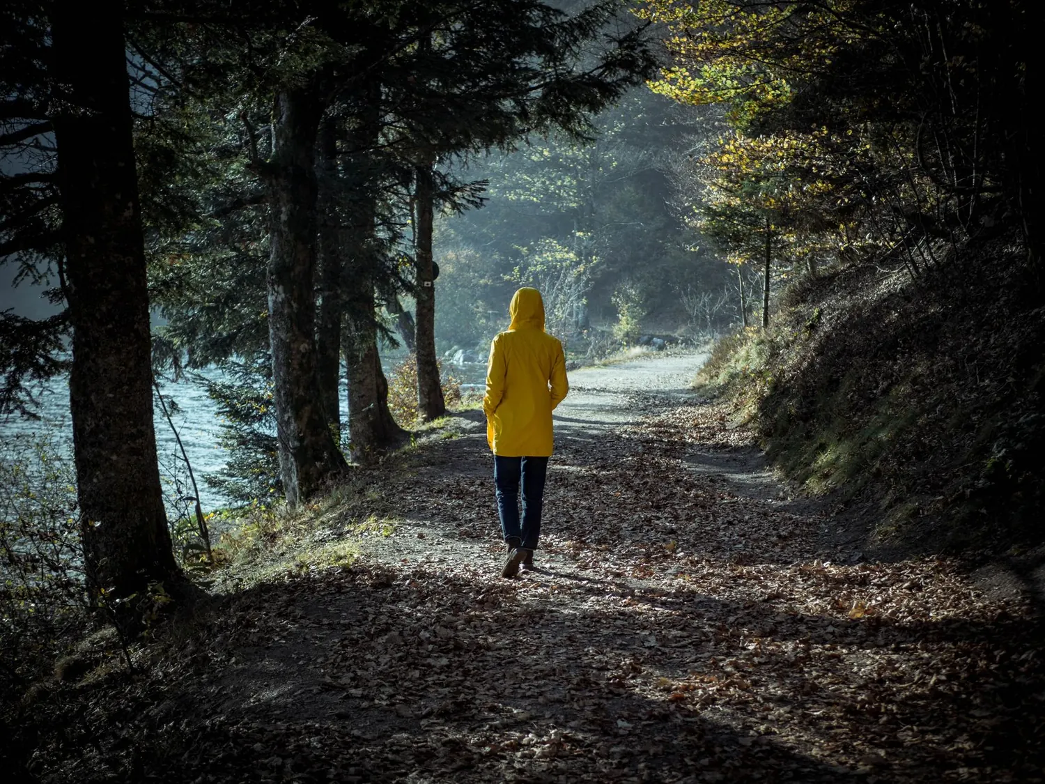 Personne de dos marchant sur un sentier en forêt au bord de l'eau